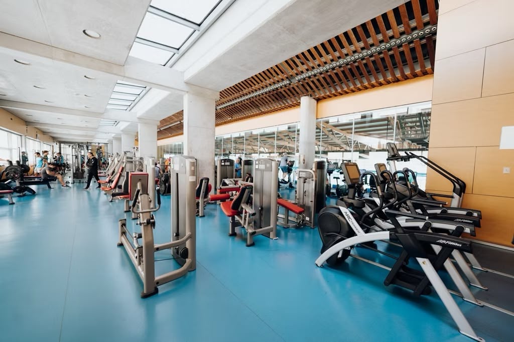 21bfa9_e2920d7175e0497ebd3a9764ba4891a8~mv2